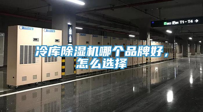 冷库辣椒视频APP下载并安装哪个品牌好，怎么选择
