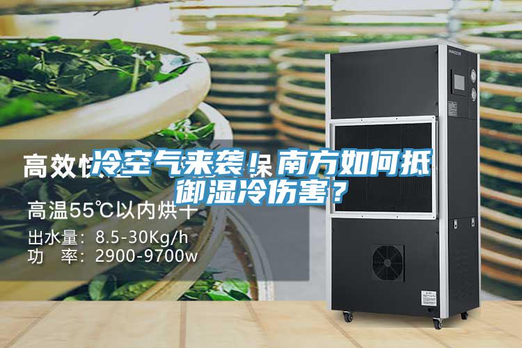 冷空气来袭！南方如何抵御湿冷伤害？