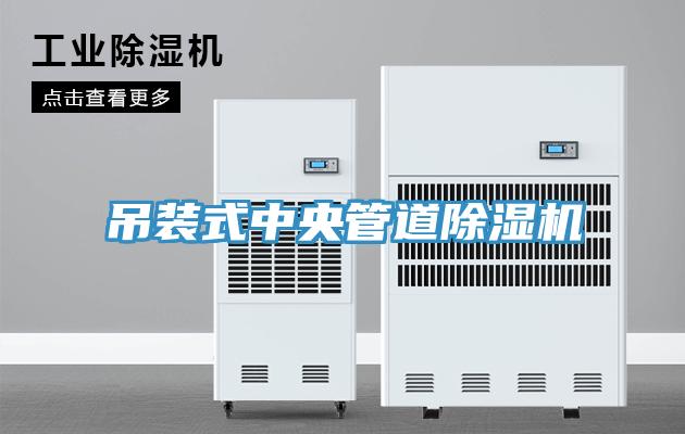 吊装式中央管道辣椒视频APP下载并安装
