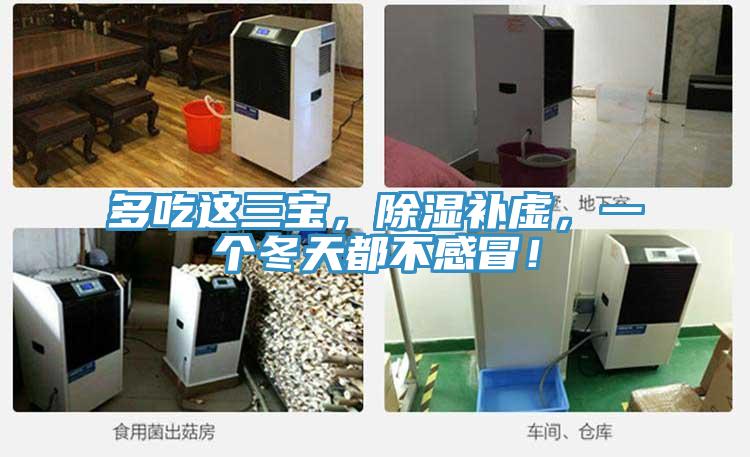 多吃这三宝，除湿补虚，一个冬天都不感冒！