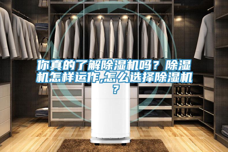 你真的了解辣椒视频APP下载并安装吗？辣椒视频APP下载并安装怎样运作,怎么选择辣椒视频APP下载并安装？