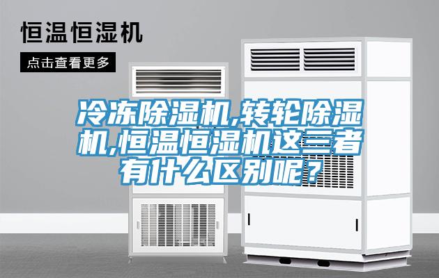 冷冻辣椒视频APP下载并安装,转轮辣椒视频APP下载并安装,恒温恒湿机这三者有什么区别呢？