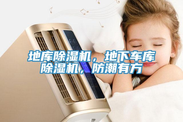 地库辣椒视频APP下载并安装，地下车库辣椒视频APP下载并安装，防潮有方