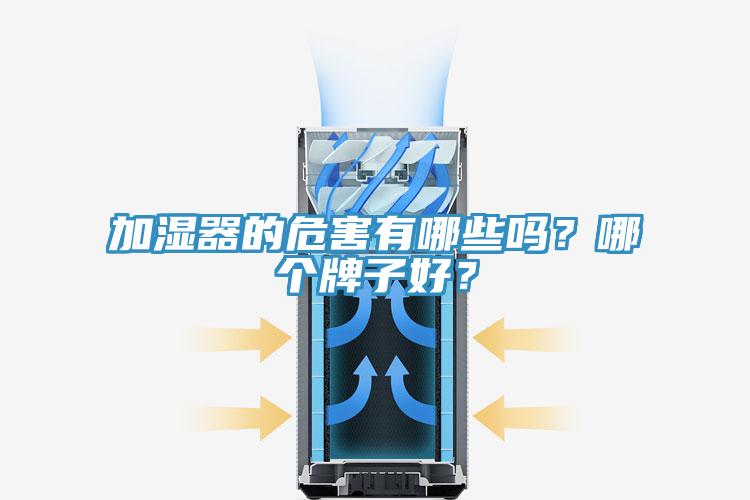 加湿器的危害有哪些吗？哪个牌子好？