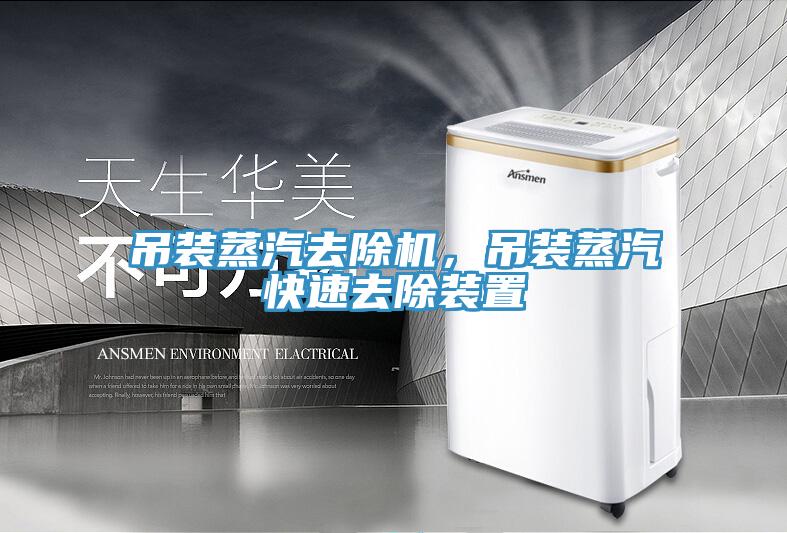 吊装蒸汽去除机，吊装蒸汽快速去除装置
