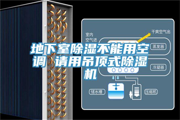 地下室除湿不能用空调 请用吊顶式辣椒视频APP下载并安装