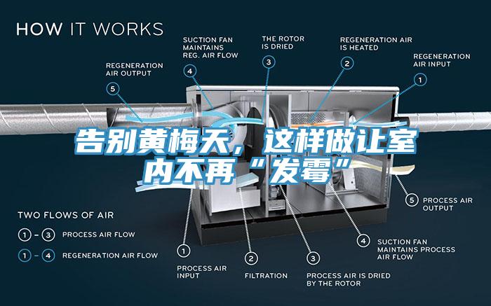 告别黄梅天，这样做让室内不再“发霉”