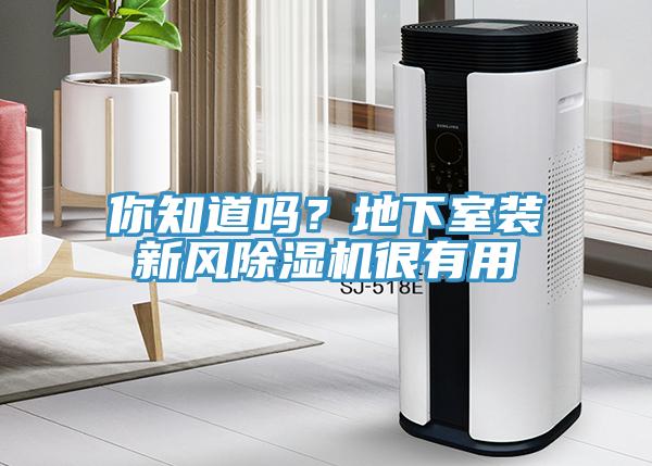 你知道吗？地下室装新风辣椒视频APP下载并安装很有用