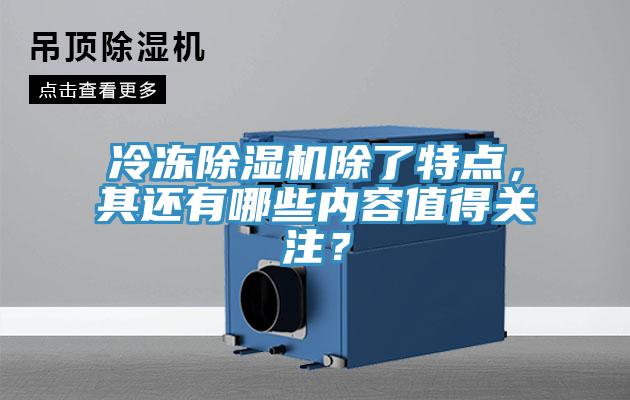 冷冻辣椒视频APP下载并安装除了特点，其还有哪些内容值得关注？