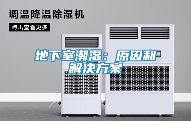 地下室潮湿：原因和解决方案