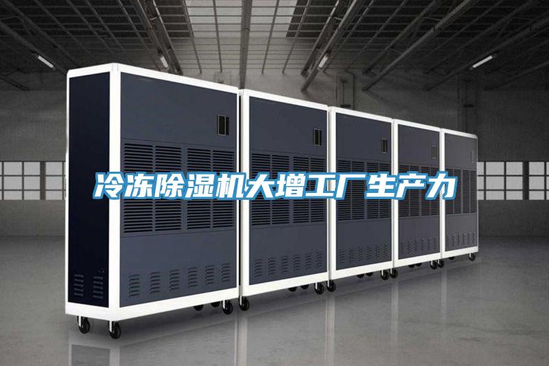 冷冻辣椒视频APP下载并安装大增工厂生产力