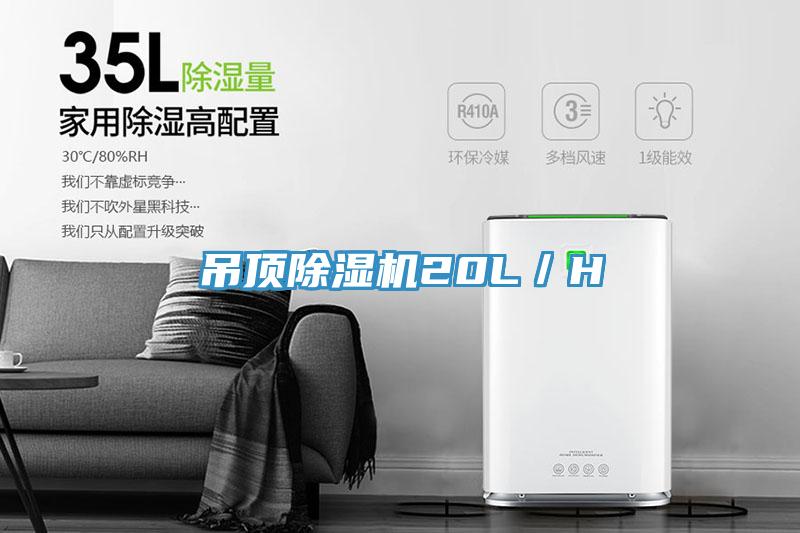 吊顶辣椒视频APP下载并安装20L／H