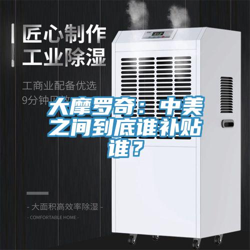 大摩罗奇：中美之间到底谁补贴谁？