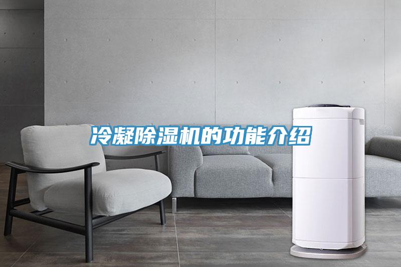 冷凝辣椒视频APP下载并安装的功能介绍