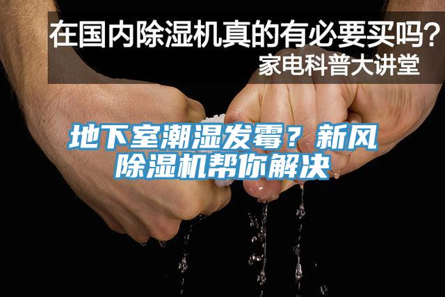 地下室潮湿发霉？新风辣椒视频APP下载并安装帮你解决