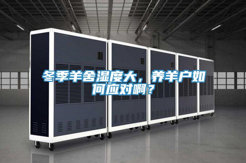 冬季羊舍湿度大，养羊户如何应对啊？