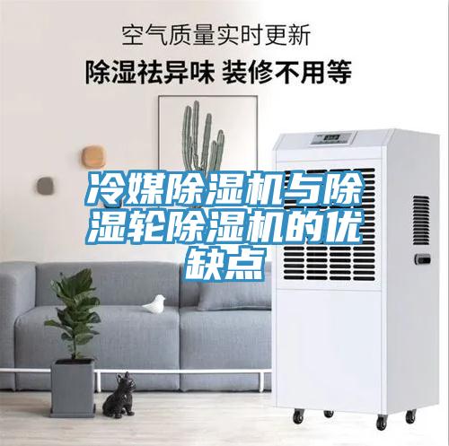冷媒辣椒视频APP下载并安装与除湿轮辣椒视频APP下载并安装的优缺点