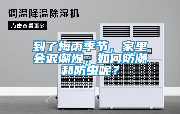 到了梅雨季节，家里会很潮湿，如何防潮和防虫呢？