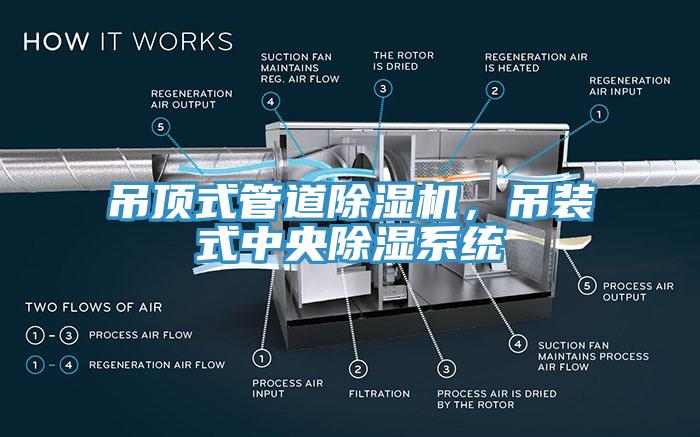 吊顶式管道辣椒视频APP下载并安装，吊装式中央除湿系统