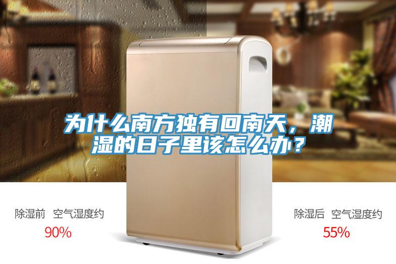 为什么南方独有回南天，潮湿的日子里该怎么办？
