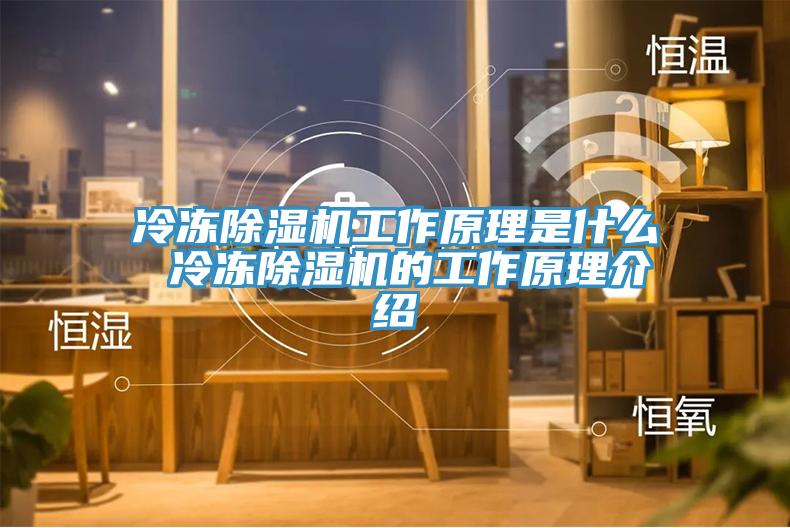 冷冻辣椒视频APP下载并安装工作原理是什么 冷冻辣椒视频APP下载并安装的工作原理介绍