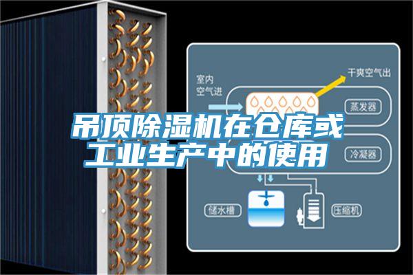 吊顶辣椒视频APP下载并安装在仓库或工业生产中的使用