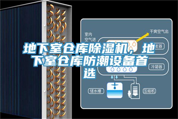 地下室仓库辣椒视频APP下载并安装，地下室仓库防潮设备首选