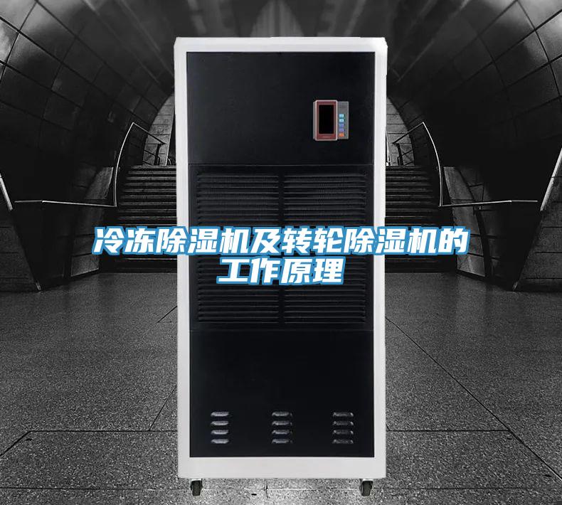冷冻辣椒视频APP下载并安装及转轮辣椒视频APP下载并安装的工作原理