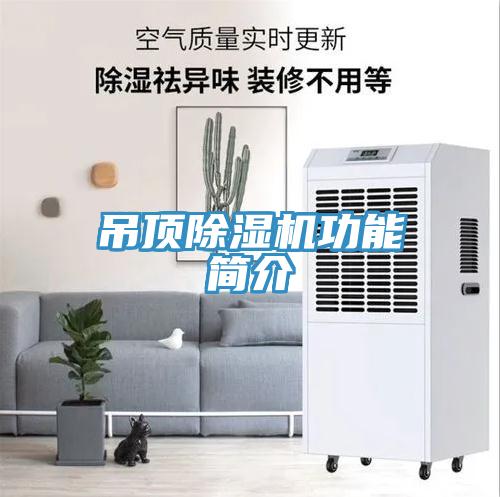 吊顶辣椒视频APP下载并安装功能简介