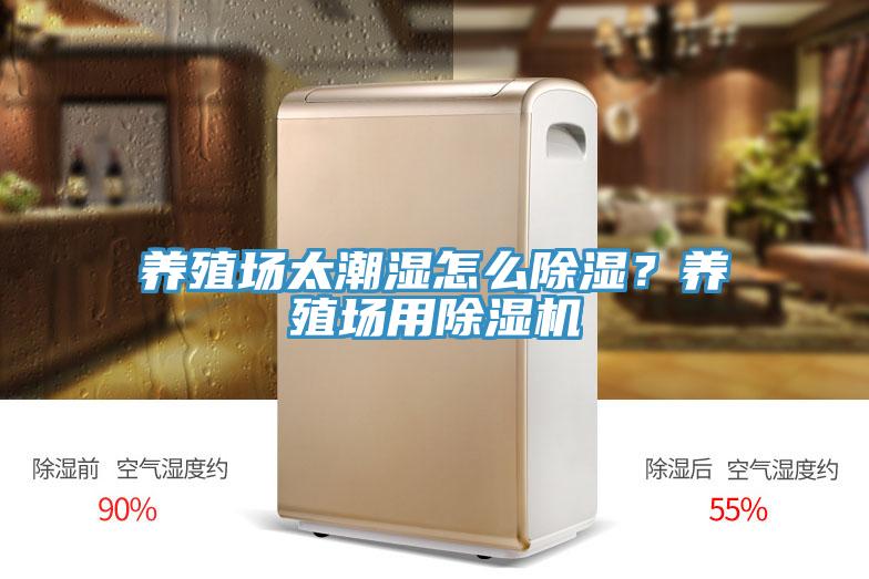 养殖场太潮湿怎么除湿？养殖场用辣椒视频APP下载并安装