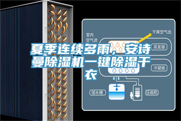 夏季连续多雨，辣椒视频软件辣椒视频APP下载并安装一键除湿干衣