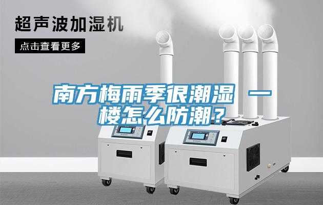 南方梅雨季很潮湿 一楼怎么防潮？