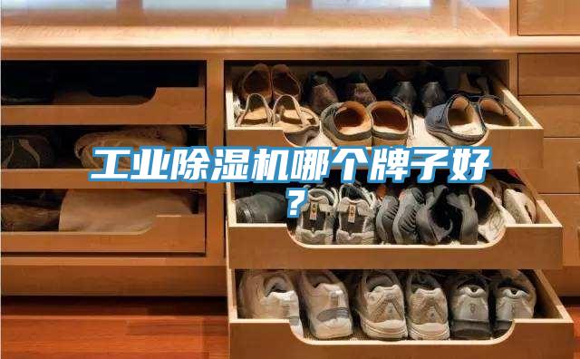 工业辣椒视频APP下载并安装哪个牌子好？