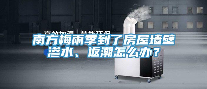 南方梅雨季到了房屋墙壁渗水、返潮怎么办？