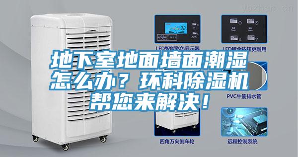 地下室地面墙面潮湿怎么办？环科辣椒视频APP下载并安装帮您来解决！