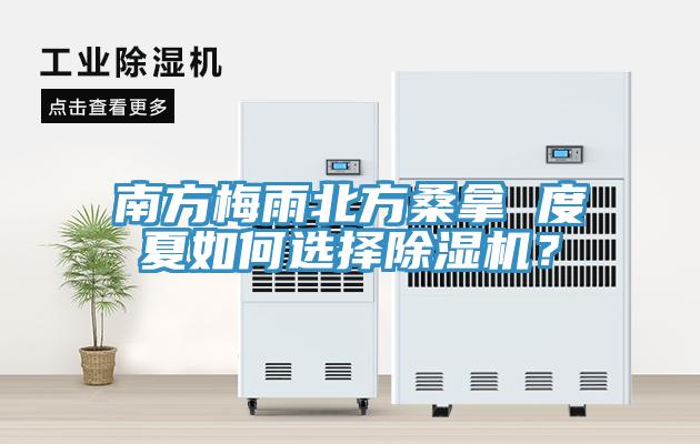 南方梅雨北方桑拿 度夏如何选择辣椒视频APP下载并安装？