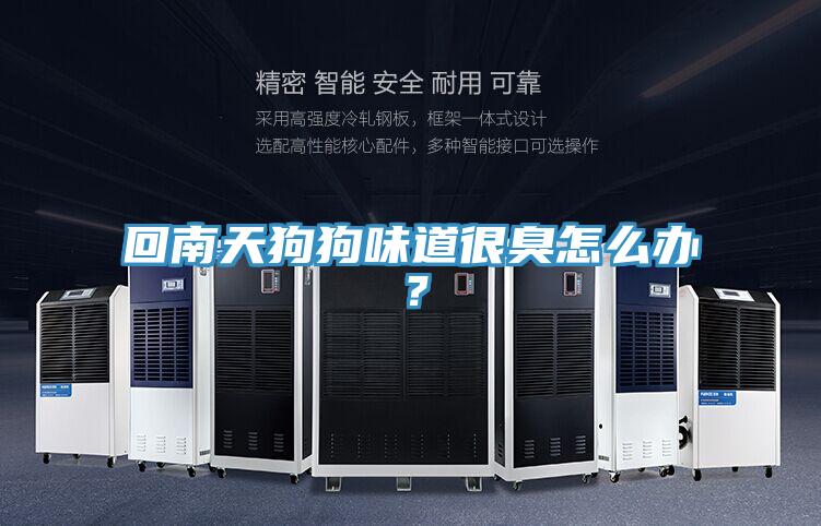 回南天狗狗味道很臭怎么办？
