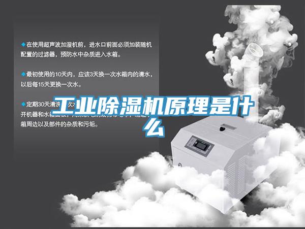 工业辣椒视频APP下载并安装原理是什么