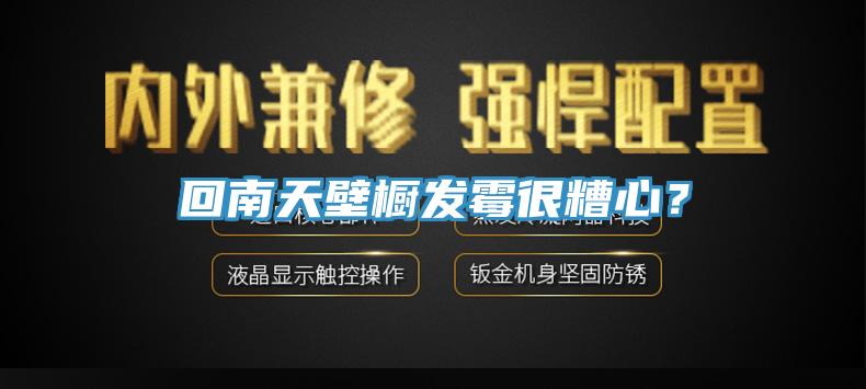 回南天壁橱发霉很糟心？