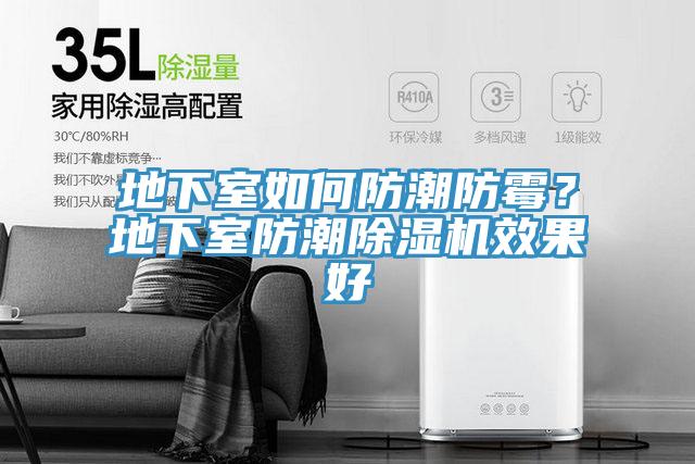 地下室如何防潮防霉？地下室防潮辣椒视频APP下载并安装效果好