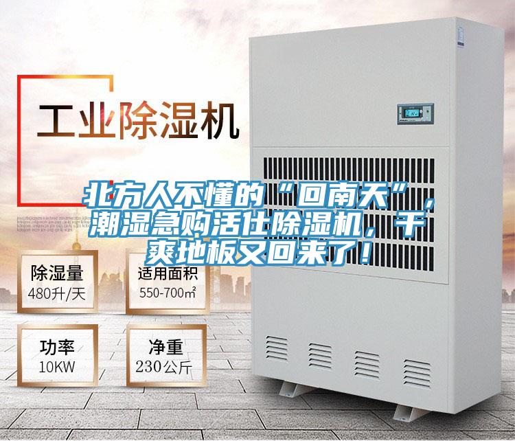 北方人不懂的“回南天”，潮湿急购活仕辣椒视频APP下载并安装，干爽地板又回来了！