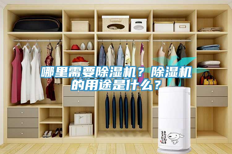 哪里需要辣椒视频APP下载并安装？辣椒视频APP下载并安装的用途是什么？