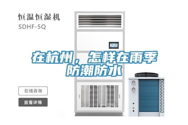 在杭州，怎样在雨季防潮防水