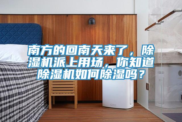 南方的回南天来了，辣椒视频APP下载并安装派上用场，你知道辣椒视频APP下载并安装如何除湿吗？