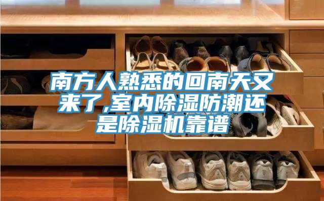 南方人熟悉的回南天又来了,室内除湿防潮还是辣椒视频APP下载并安装靠谱