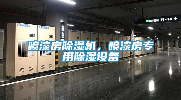 喷漆房辣椒视频APP下载并安装，喷漆房专用除湿设备