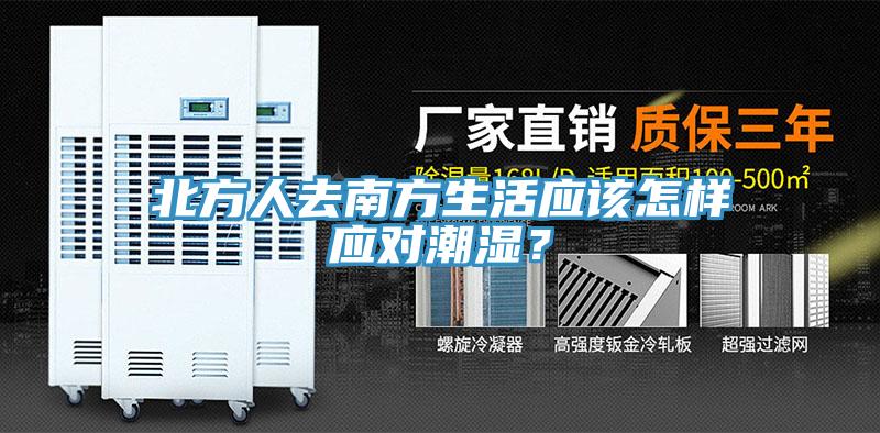 北方人去南方生活应该怎样应对潮湿？