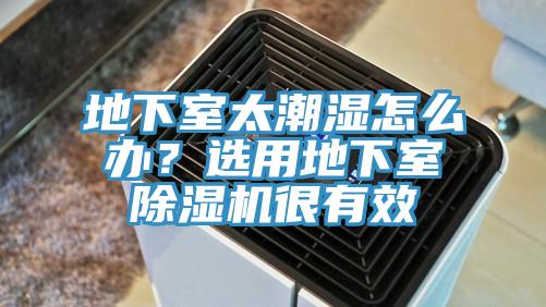 地下室太潮湿怎么办？选用地下室辣椒视频APP下载并安装很有效