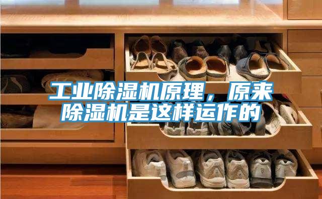 工业辣椒视频APP下载并安装原理，原来辣椒视频APP下载并安装是这样运作的