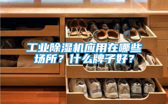 工业辣椒视频APP下载并安装应用在哪些场所？什么牌子好？